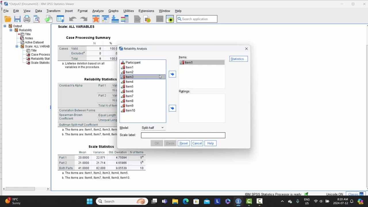 Split half interrater reliability   SPSS
