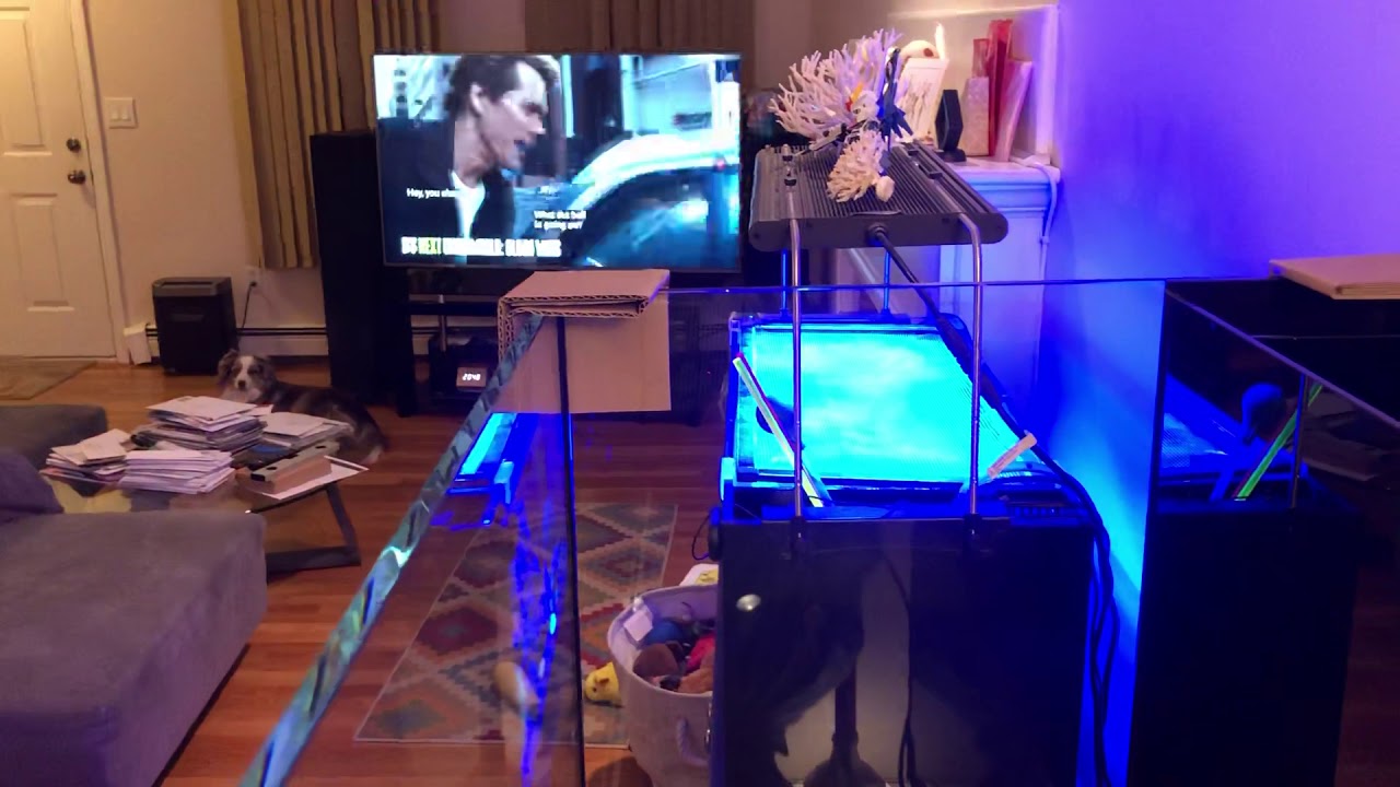 Waterbox AIO 50.3