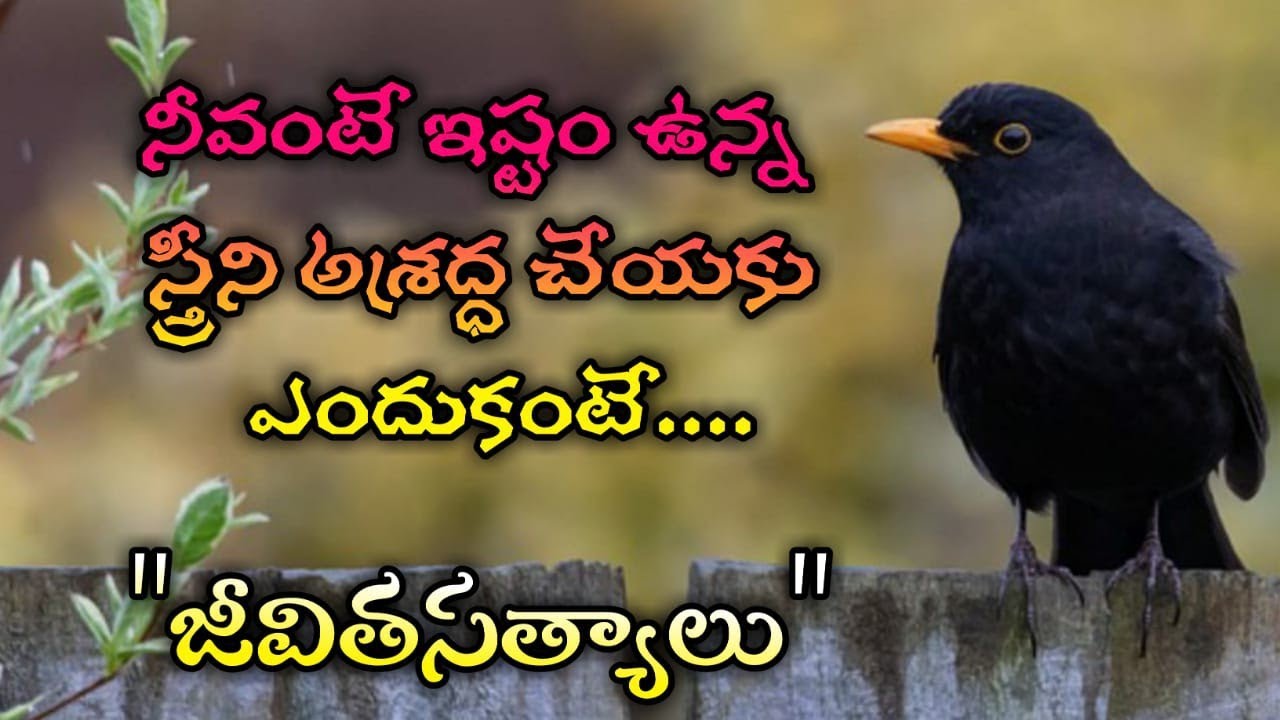 జీవిత సత్యాలు #251 |మంచి మాటలు|Inspirational quotes|Motivational quotes|సూక్తులు|Telugu quotes