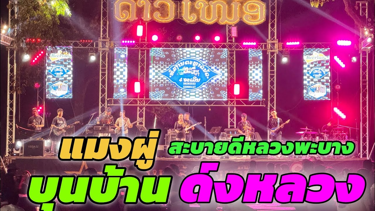 ແມງຜູ່+ສະບາຍດີຫລວງພະບາງ+ ຂີ້ໂມ້ 🔥🔥🔥🔥