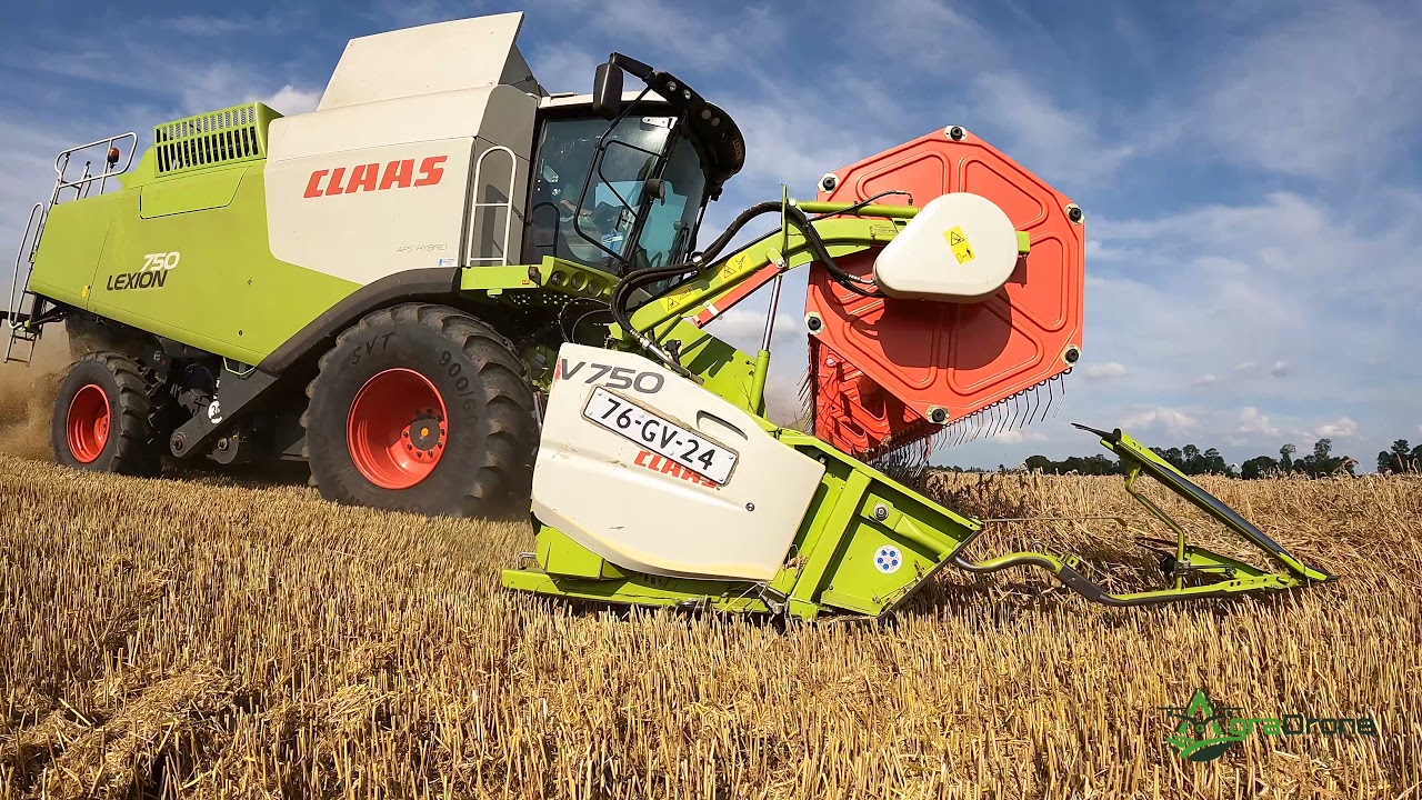 Wintertarwe dorsen | Gebr. Verkooyen Langeweg| Claas Lexion 750