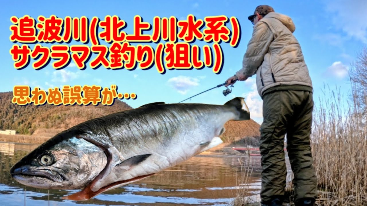 2026年2月22日  サクラマス釣り(狙い)　追波川　北上川　水系　岩手県　サカナ探偵　魚料理