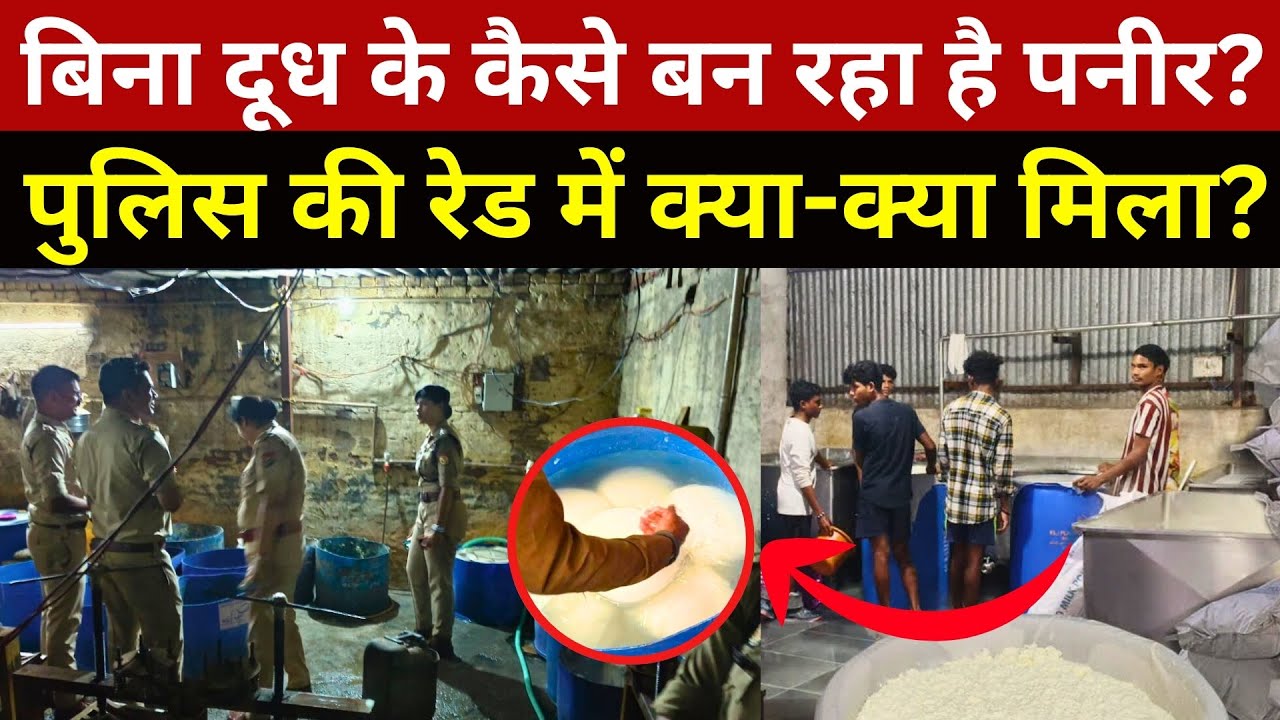 Patna Mandi EXPOSED: पनीर खाने से पहले ये वीडियो जरूर देखें! Synthetic Paneer Factory Bihar