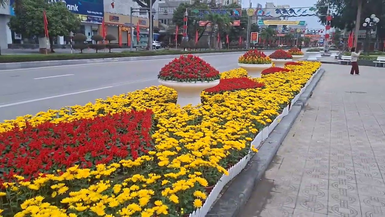 Tuong dai li thai to