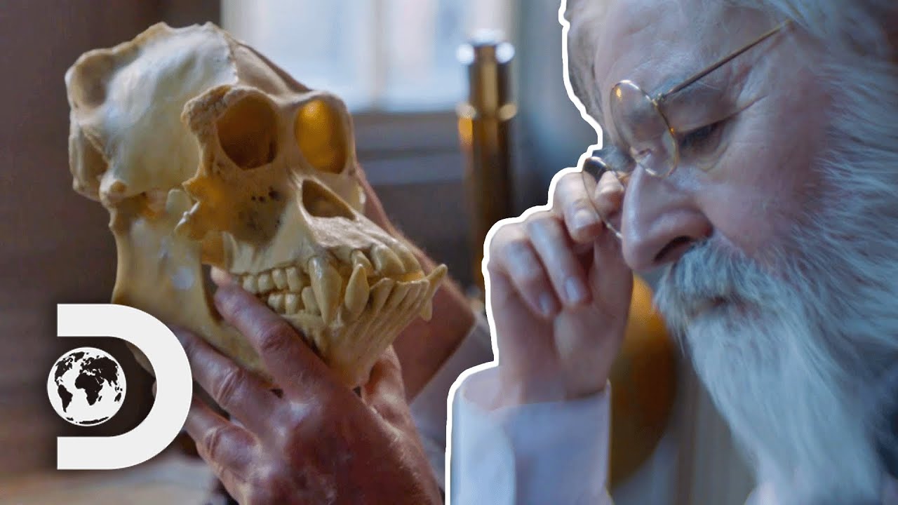 The Scientist Who Tried To Create A Human-Chimpanzee Hybrid | Almost Human: Rise Of The Apes