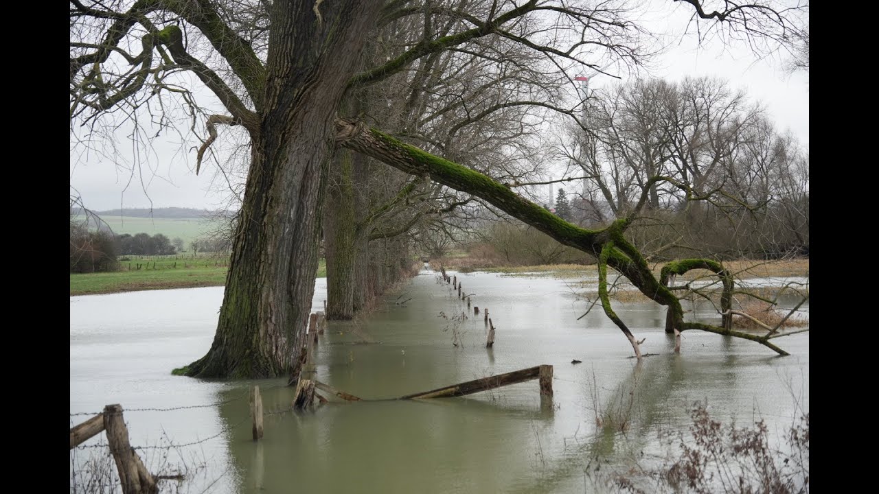 Weihnachtswunder in Wasser: Der Starkregen von Bad Lippspringe 2023