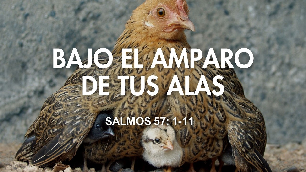 Bajo el amparo de tus alas | Salmos 57:1-11 | Ps. Óscar Mauricio C.
