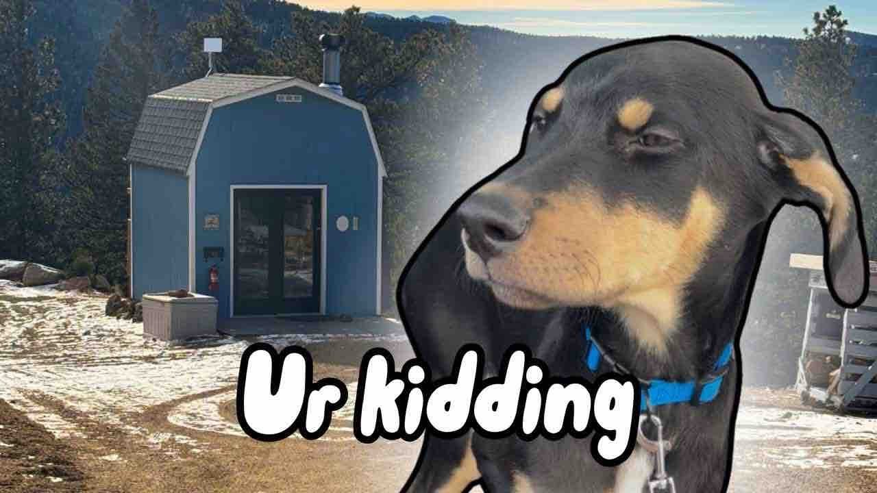 Puppy VS Airbnb: What he really thought about our vacation.