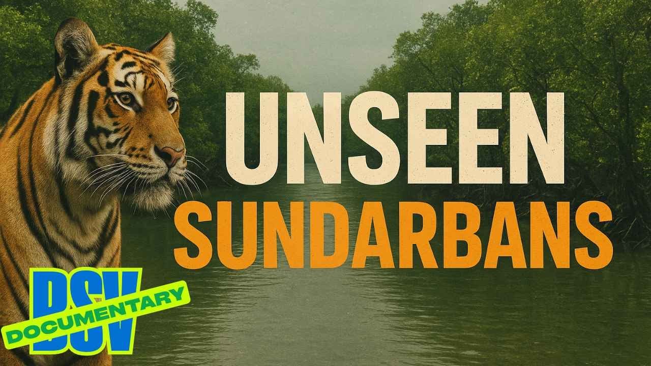BSV- Unseen Sundarban 4K Documentary 2025 ll Sundarban Jungle Safari ll English ll  @BSV025
