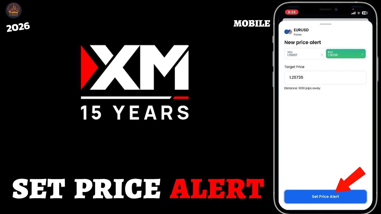 Как настроить оповещения о ценах в приложении XM (простое руководство)?