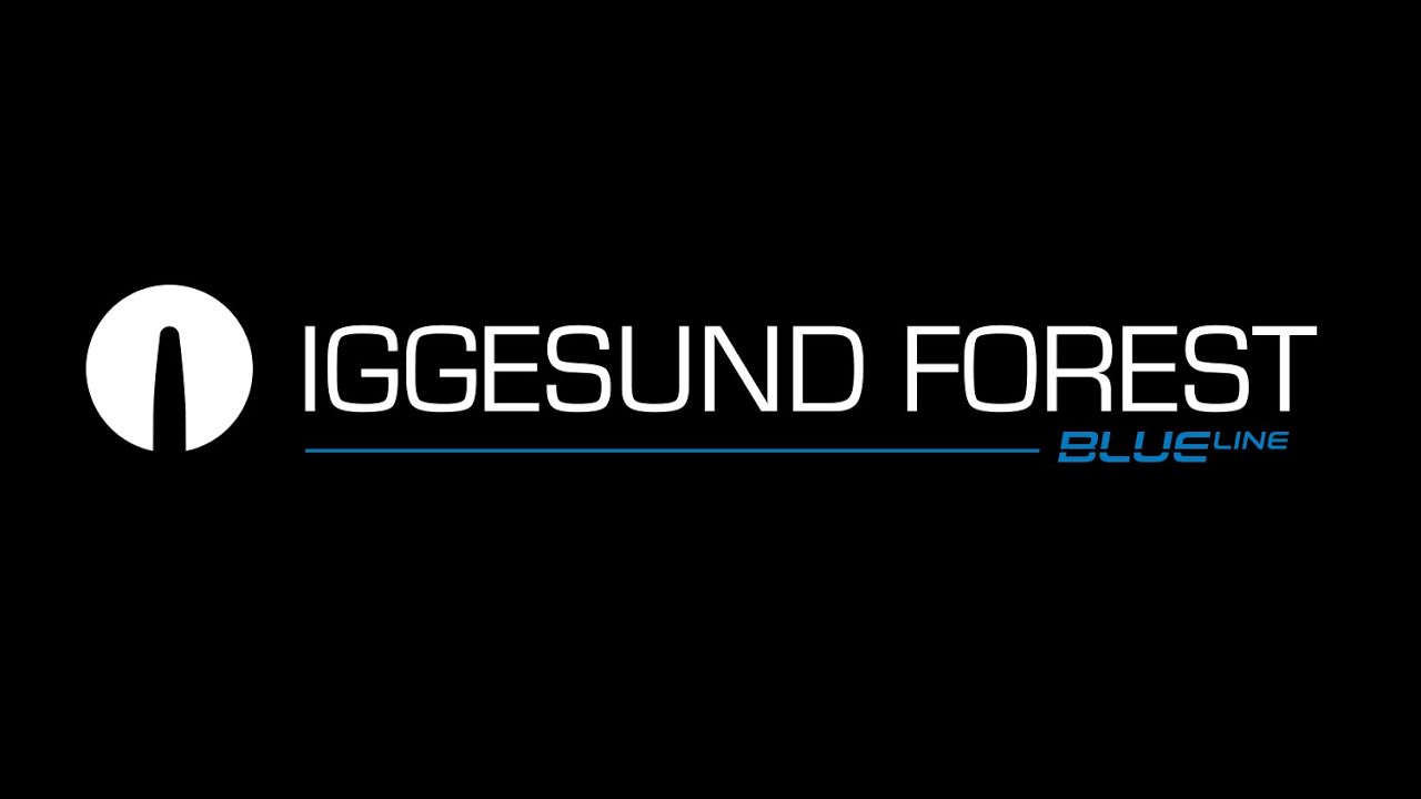 Iggesund forest