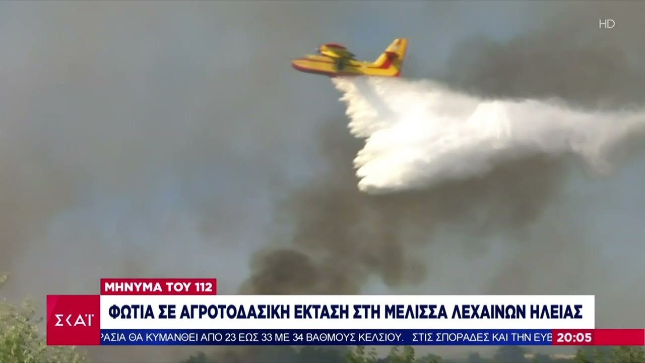 Σε ύφεση η φωτιά στα Λεχαινά Ηλείας | Ειδήσεις Βραδινό Δελτίο | 01/08/2025