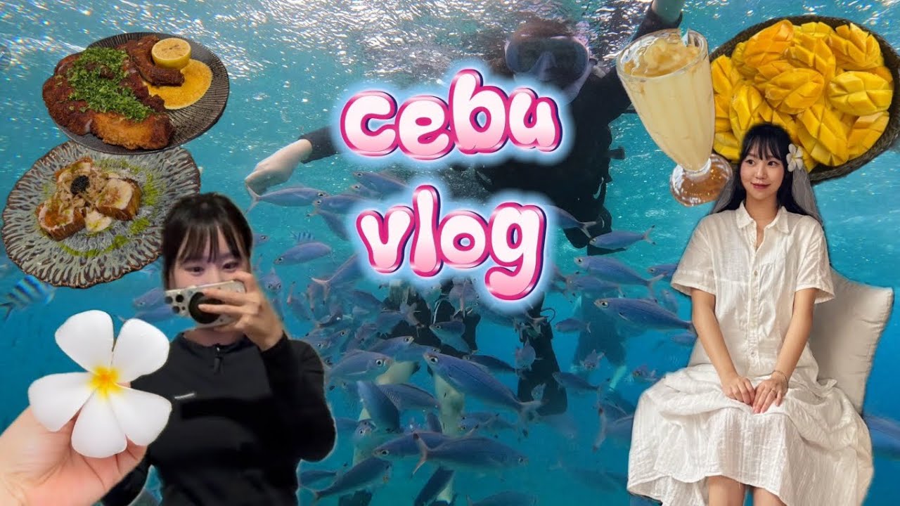 세부vlog🏝️ 이대로만 가면 됩니다! (꿀꿀이 됩니다😉)👍🏻 세부맛집 / 세부호핑투어 / 세부쇼핑리스트 / 세부마사지추천 / 세부야식추천