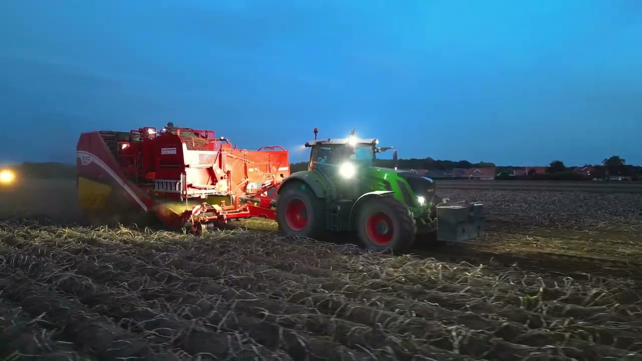 Fendt 930 in der Kartoffelernte mit Grimme Evo 280