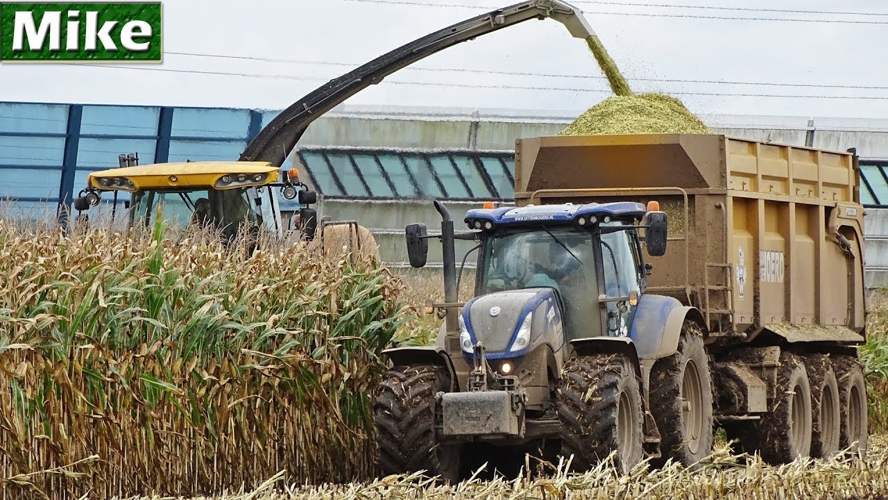 Mais hakselen 2017 | New Holland FR9060 | Van der Woerd | Blue Power | T7.270 | Tiel | NL.