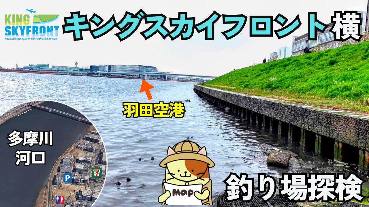 多摩川河口「キングスカイフロント横」釣り場探検｜コンビニ、有料駐車場、トイレ、手洗い場など好条件の揃った、足場のいい護岸が広がるシーバス、黒鯛、ハゼ釣りポイント