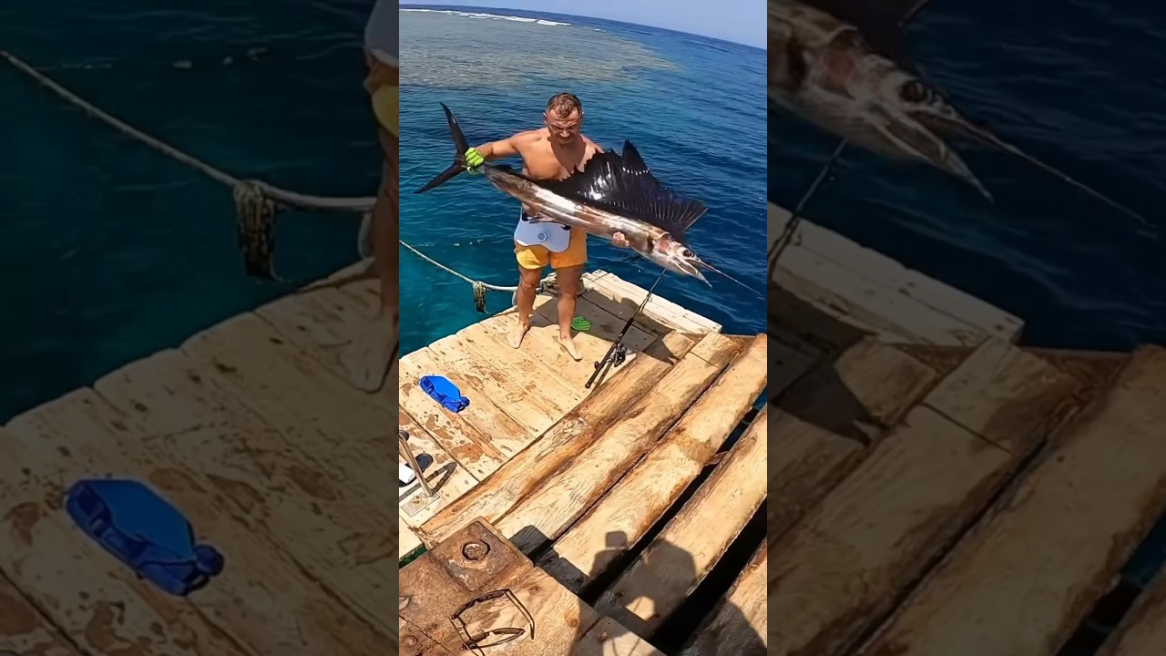 Поймал парусника с Берега 🤯🤯🤯 Полное видео на канале #fishing