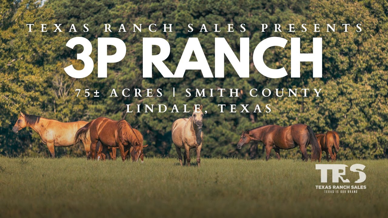 3P Ranch | 75± Acre Horse Property for Sale near Lindale, Texas