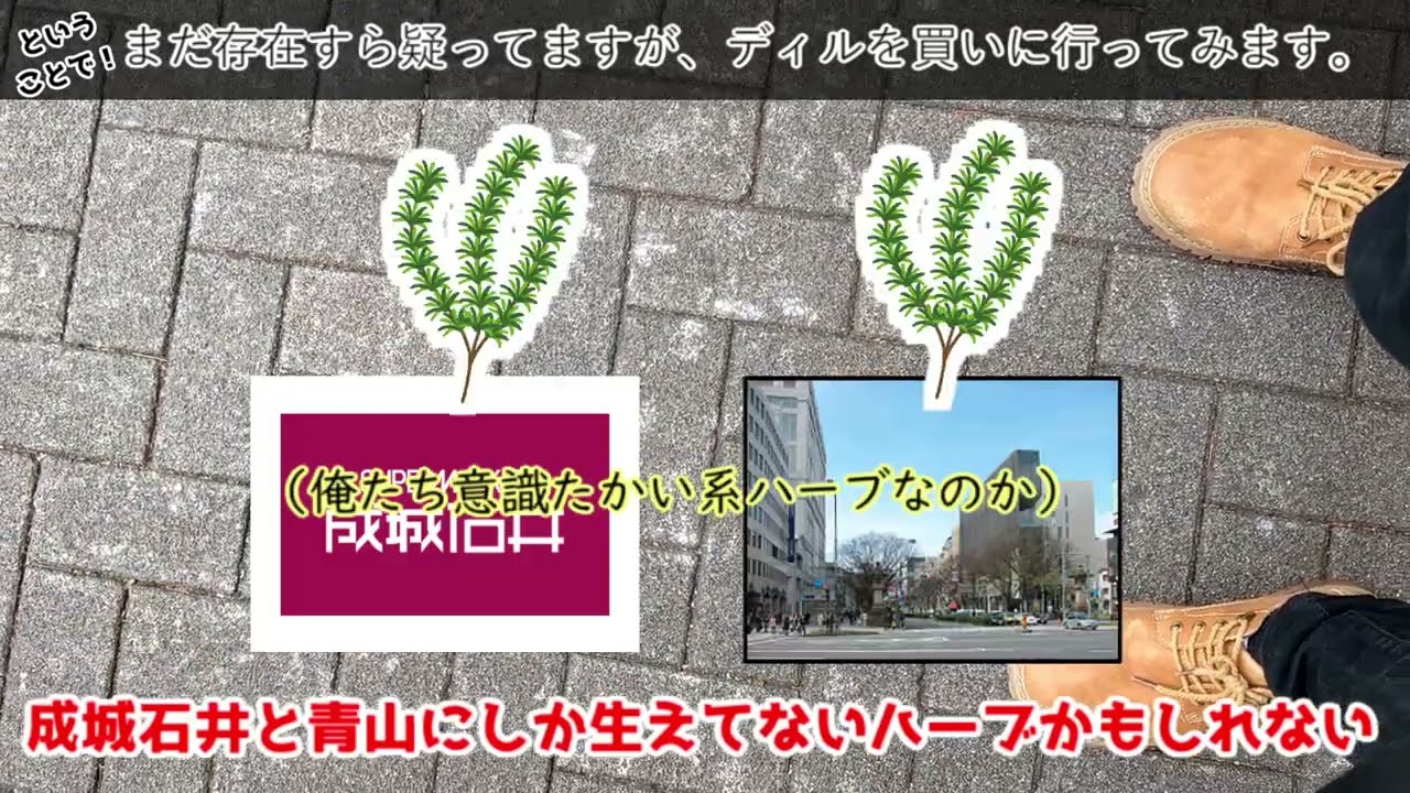 「ディル」という知ってるか知らないかで議論になったハーブ、清々しいほど主観で忖度抜きで食べてみた