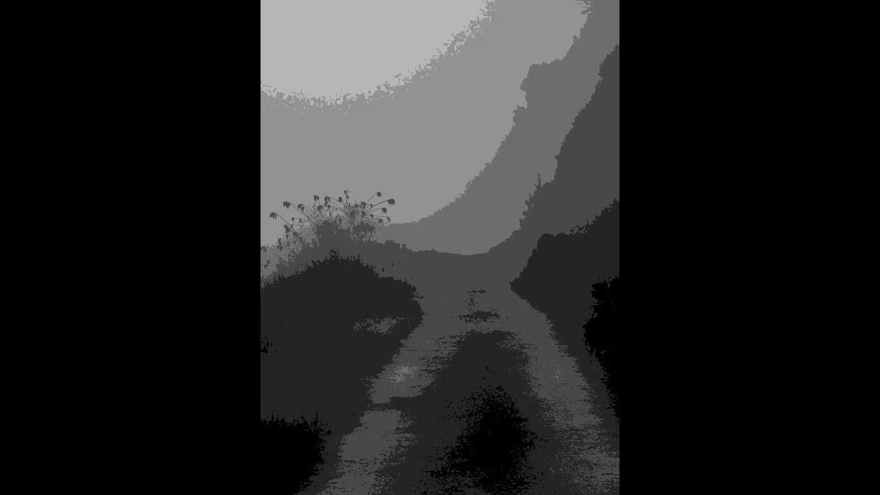 The Caretaker - The way ahead feels lonely (Slowed + Reverb)