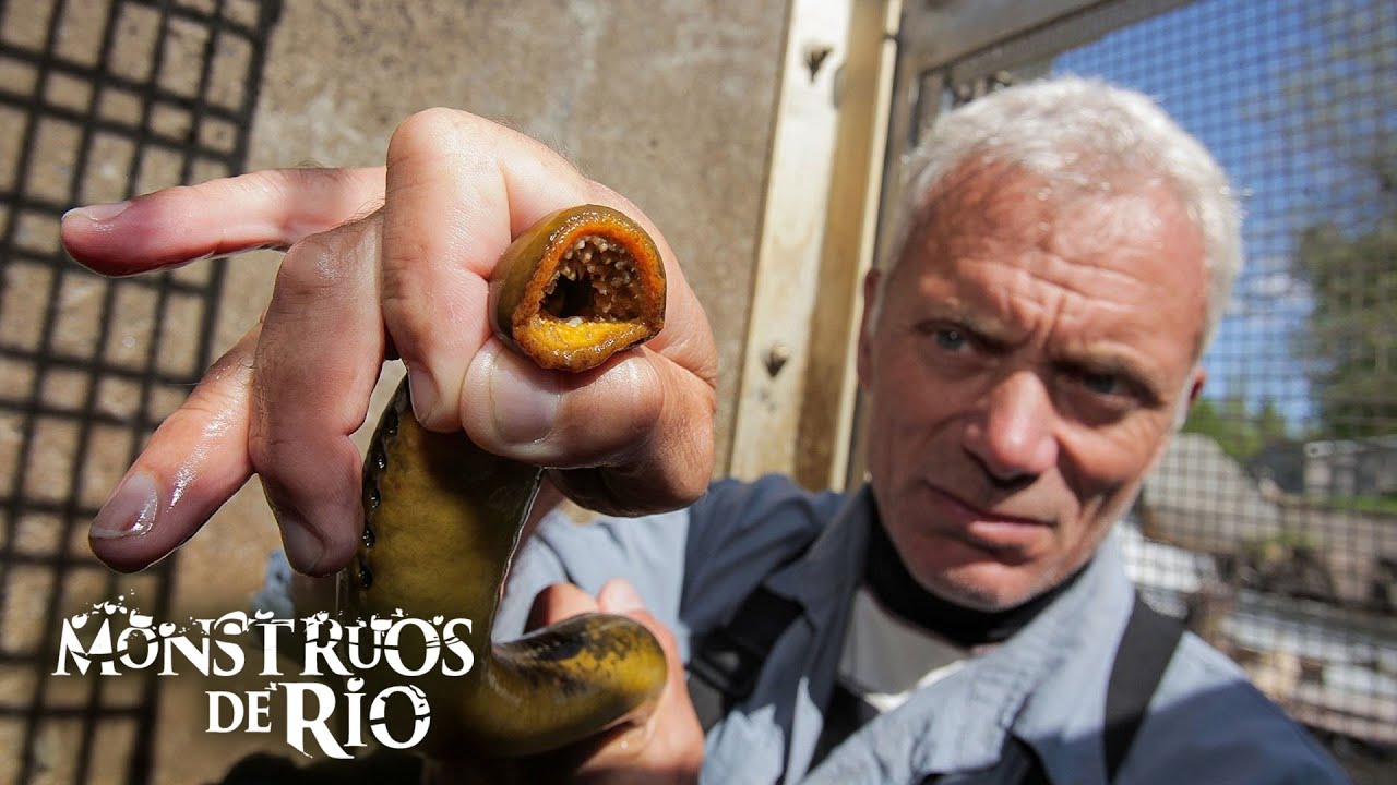 Abismos Fluviales: Criaturas Misteriosas | Monstruos de Río