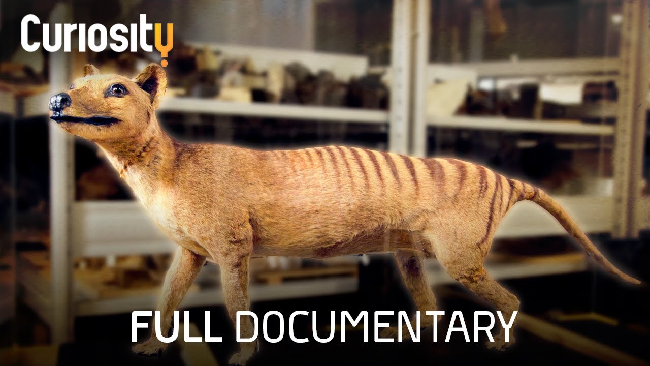 Can We Revive An Extinct Species? | Breakthrough