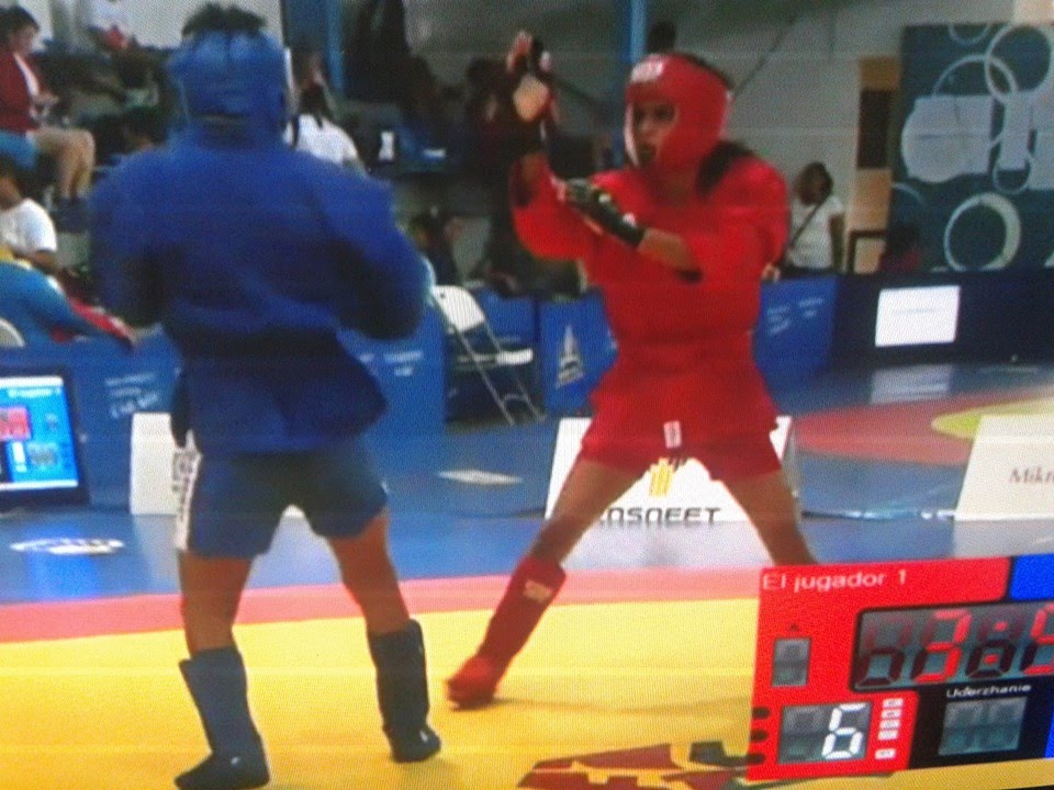 Wing chun Anti grappling MMA Combat Sambo