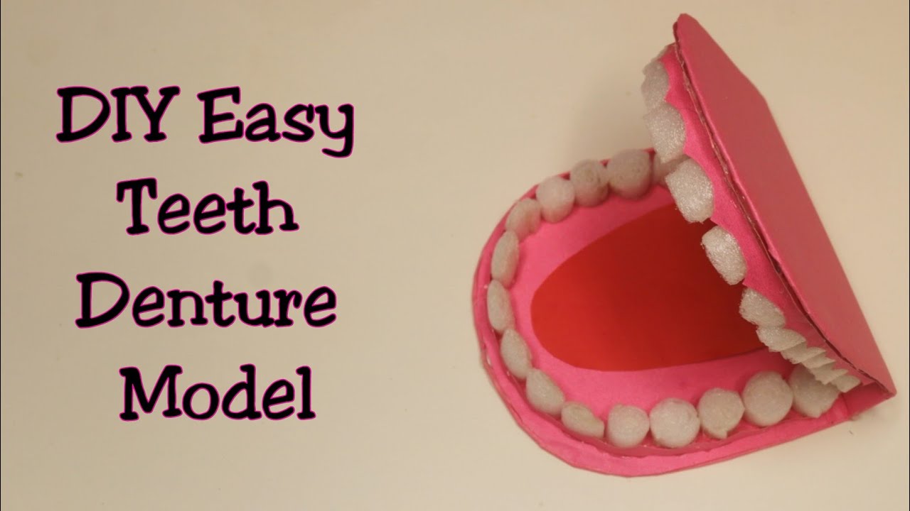 How to Make 3D Teeth Denture Model/ Easy Way to Make Types of Teeth 3d Model