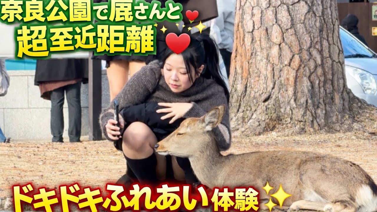 奈良公園の鹿に驚きを隠せない外国人観光客🦌😩 順番を待って列に並ぶ鹿たちが買い物をしている 様子を見てください🦌👌💕