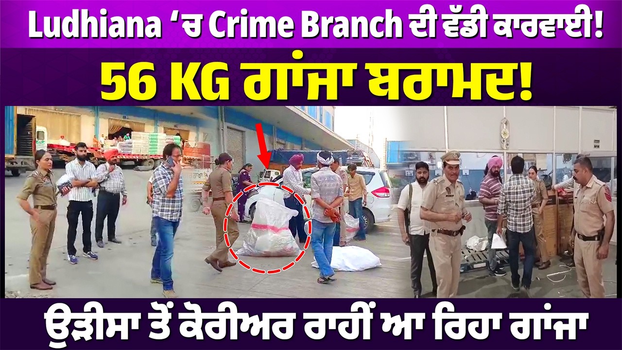 ਲੁਧਿਆਣਾ: ਕੋਰੀਅਰ ਗੋਦਾਮ ਤੋਂ ਨਿਕਲਿਆ 56KG ਗਾਂਜਾ! Crime Branch ਦੀ ਵੱਡੀ ਕਾਰਵਾਈ #punjabnews #rangatpunjabi
