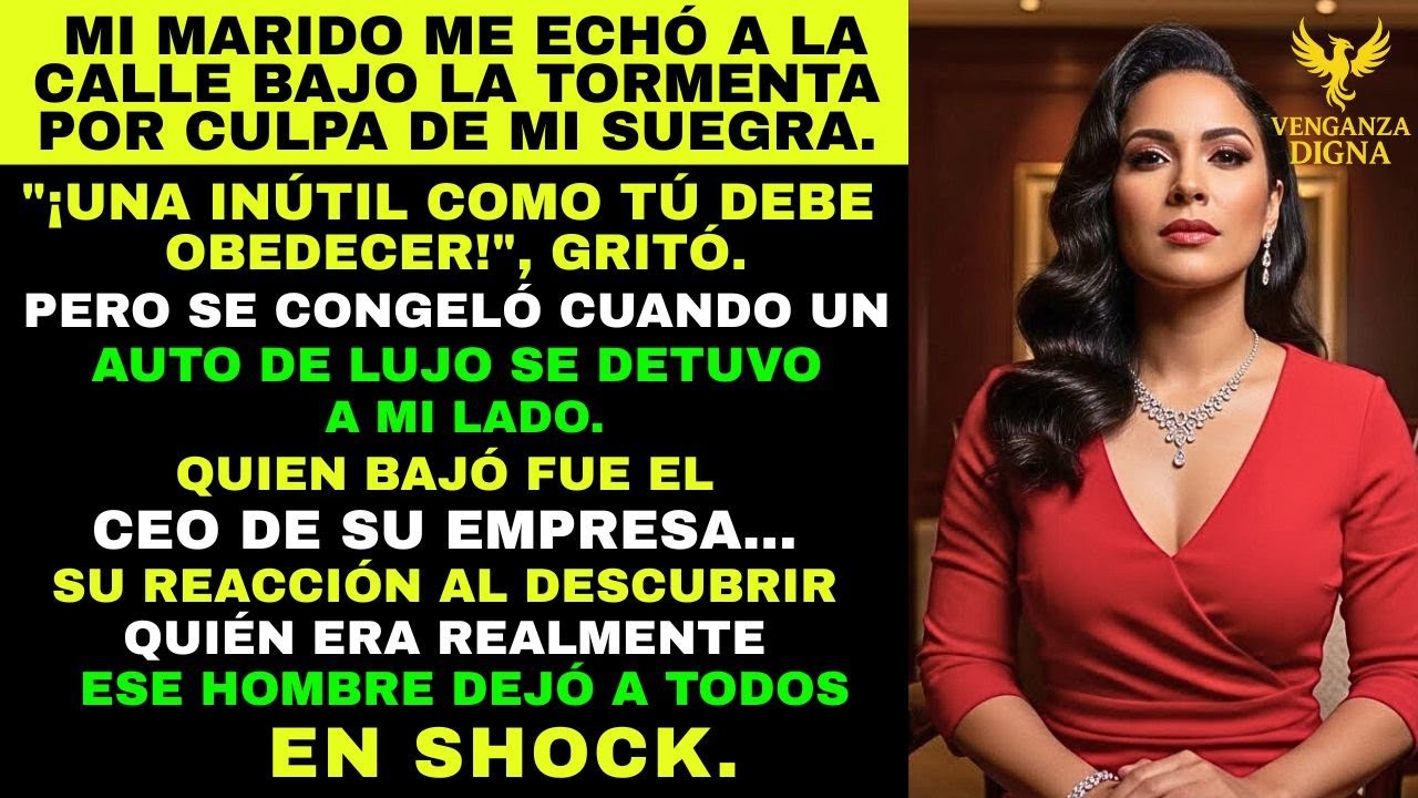 mi MARIDO me LLAMÓ INÚTIL y me ECHÓ DE CASA Por ÓRDENES de MI SUEGRA, Pero SE CONGELÓ Cuando Vio