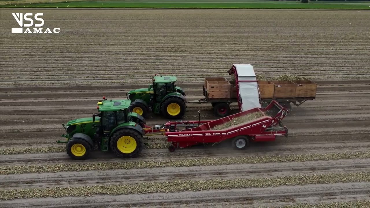 Loading onions with the VSS AMAC Onion Loader UL 1480