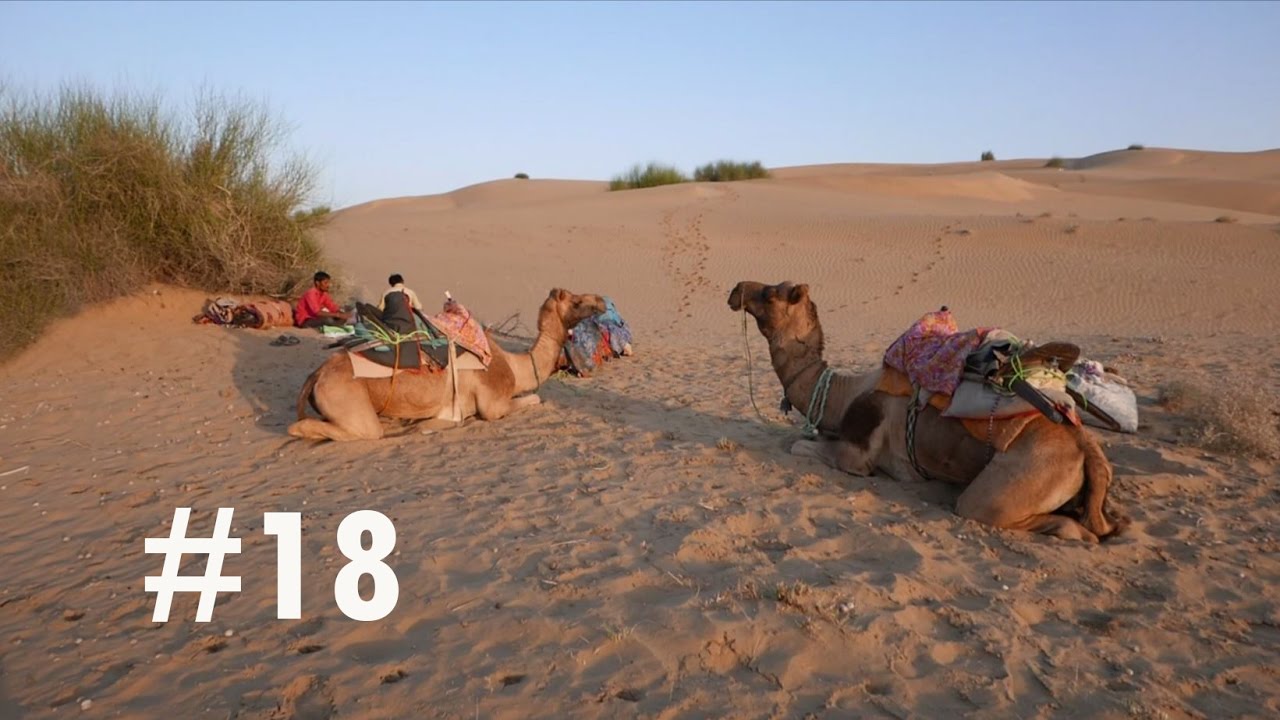 VLOG #18 CAMEL SAFARI DANS LE DÉSERT DU THAR (JAISALMER) !!