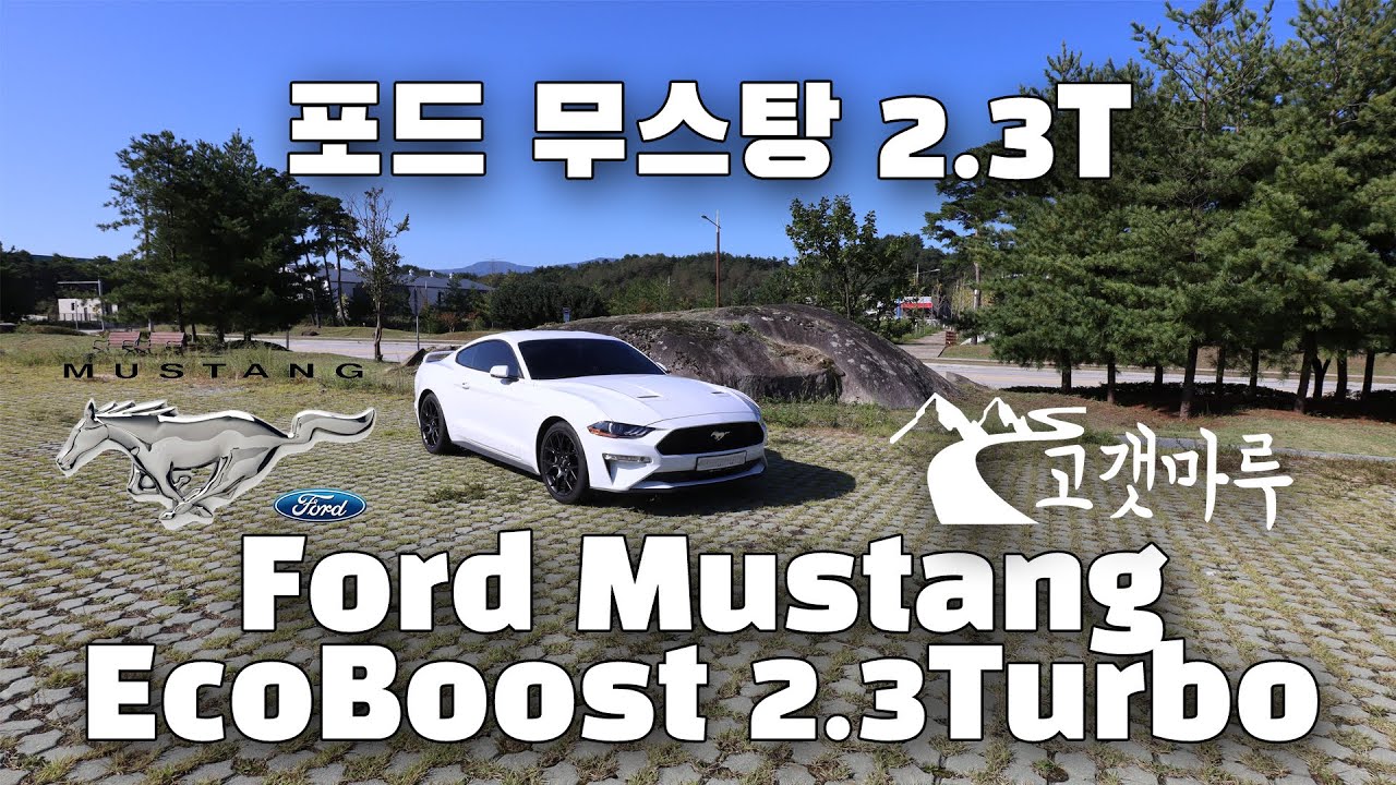 [차량리뷰] 야생마 무스탕? 포드 머스탱 6.5세대 2.3T 에코부스트 Ford Mustang Ecoboost 이민재