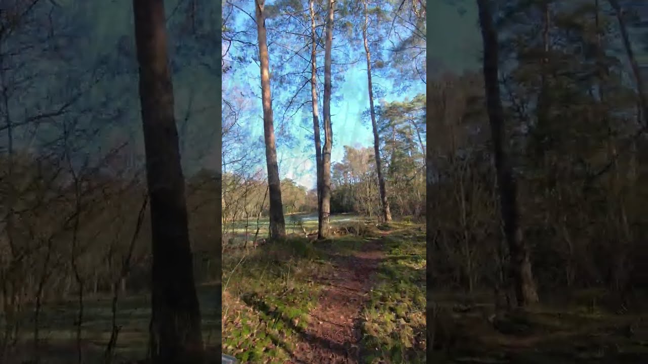Senne-Trails