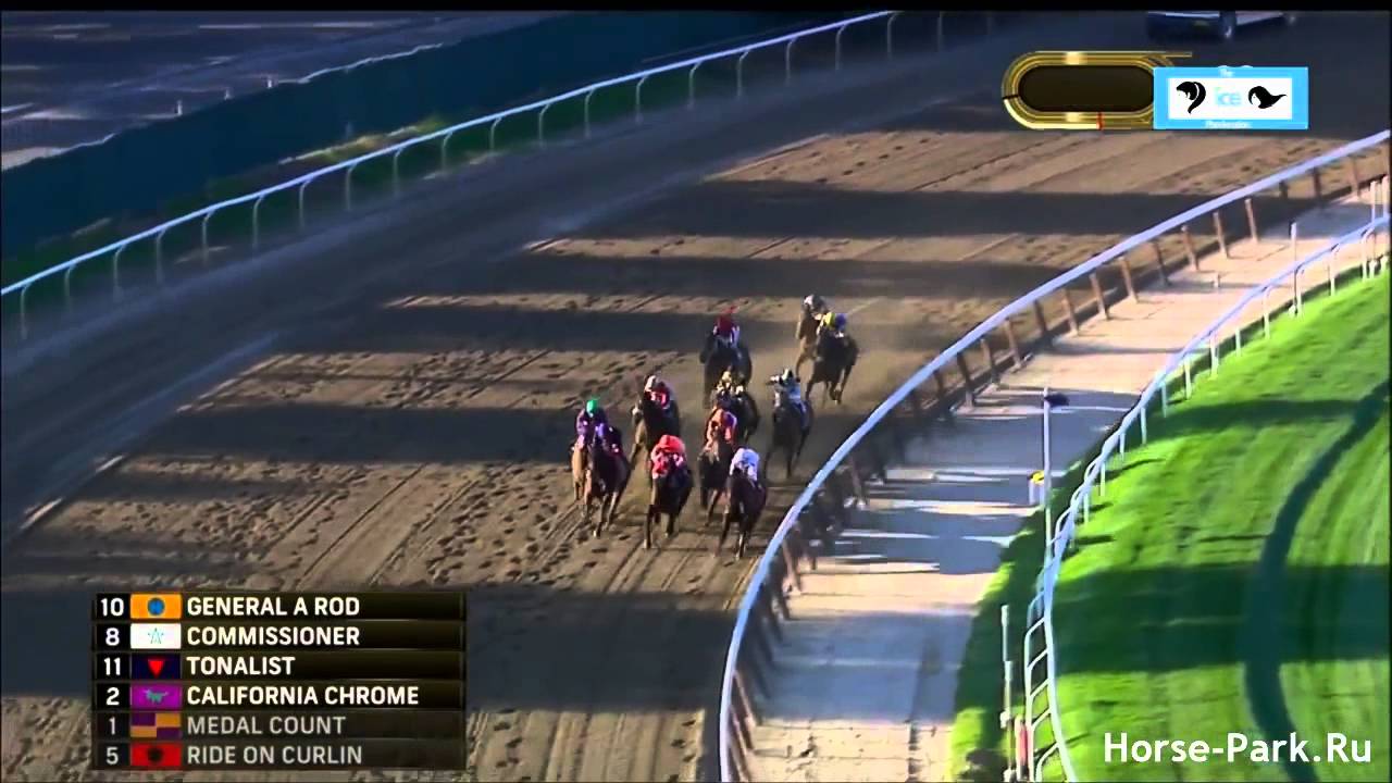 Belmont Stakes 2014