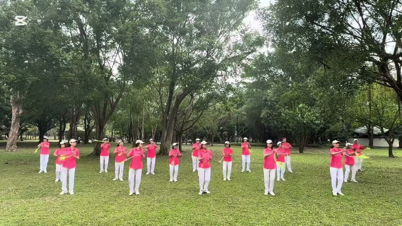 野花香/柔樂球  創編者張淑貞。新北市中和區秀山柔樂球隊。