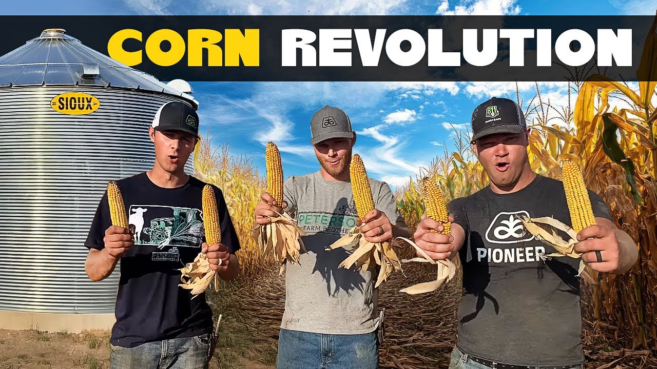 CORN REVOLUTION (Official Music Video)