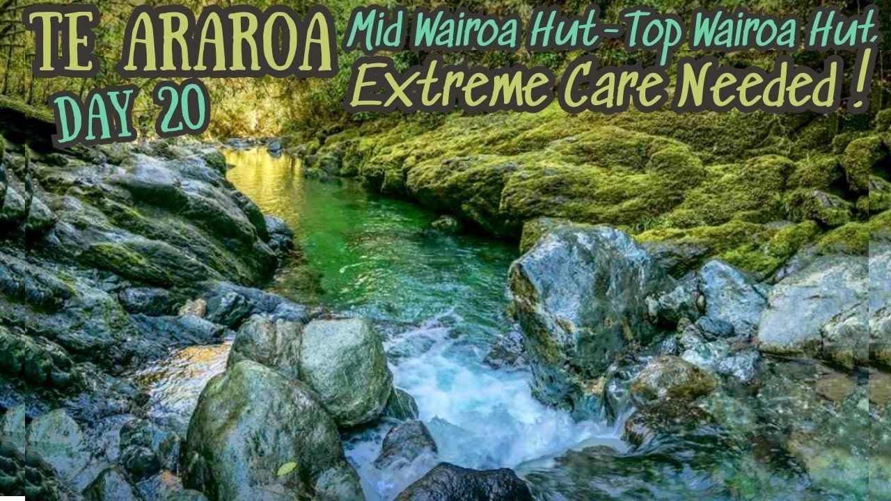 Te Araroa Days 20 + 21 | RICHMOND RANGES | Mid Wairoa - Top Wairoa Hut New Zealand