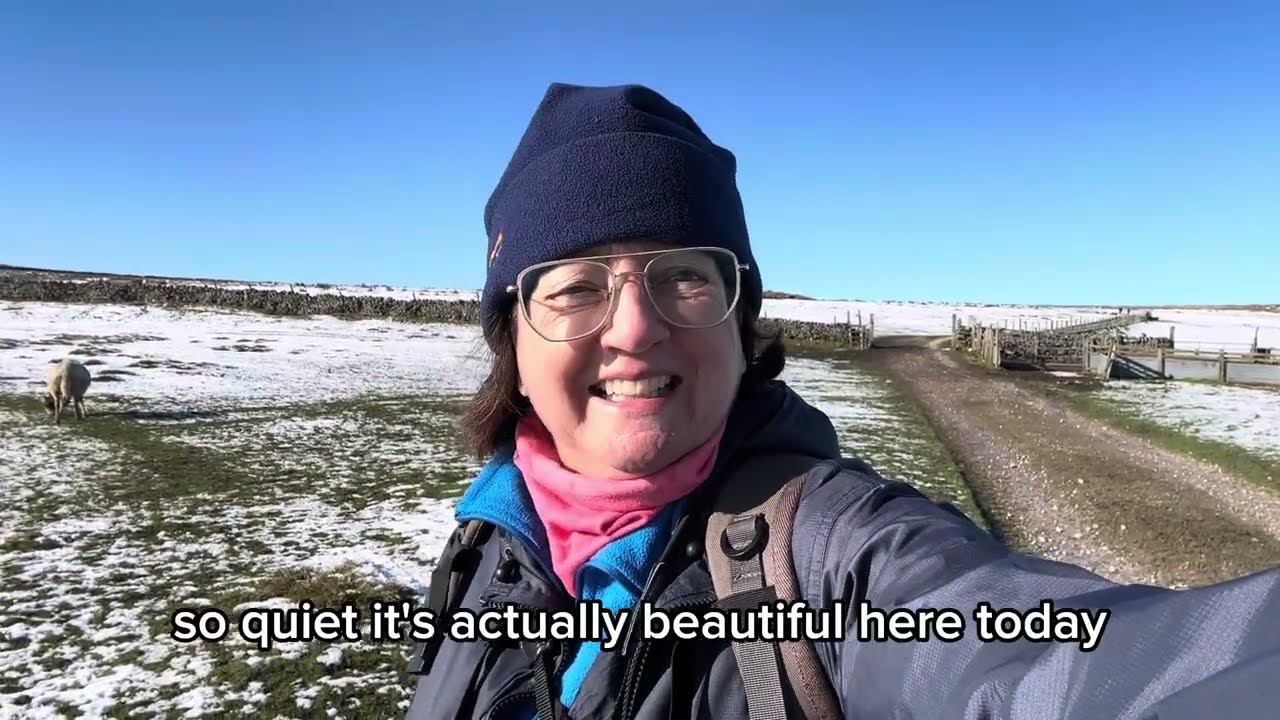 Pondering on curlew, sheep and birding