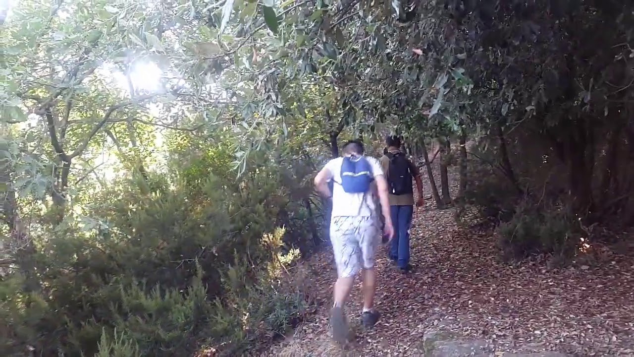 Il Castello di Vado Ligure