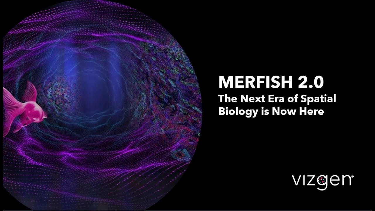 Pioneering the Next Era of Spatial Biology with MERFISH 2.0 and the MERSCOPE Ultra™ Platform
