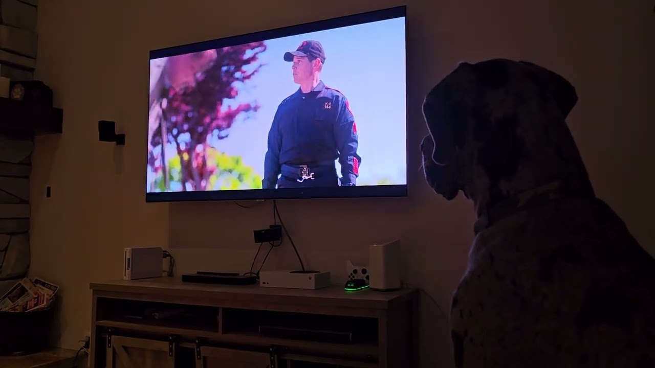 Jabba loves watching Ruby pt5