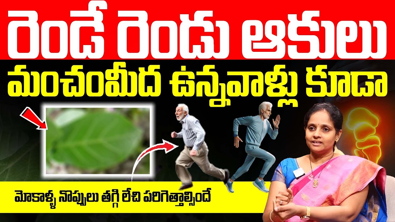 ఈ ఆకుతో మోకాళ్ళ లో జిగురు పెరిగి నొప్పులు తగ్గిపోతాయి | Knee Pain Relief | || Dr.TN Naga Laxmi