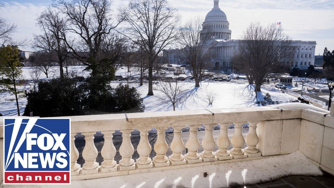 Democrats want to &lsquo;shut down ICE,&rsquo; says Florida senator