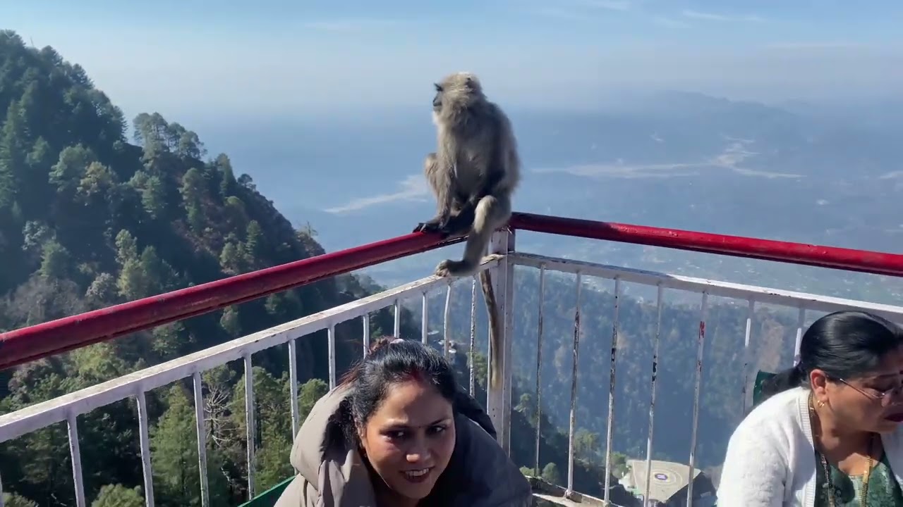 Vaishno Devi To Bhairav Baba || 6 February 2026 ||  Vaishnodevi yatra 