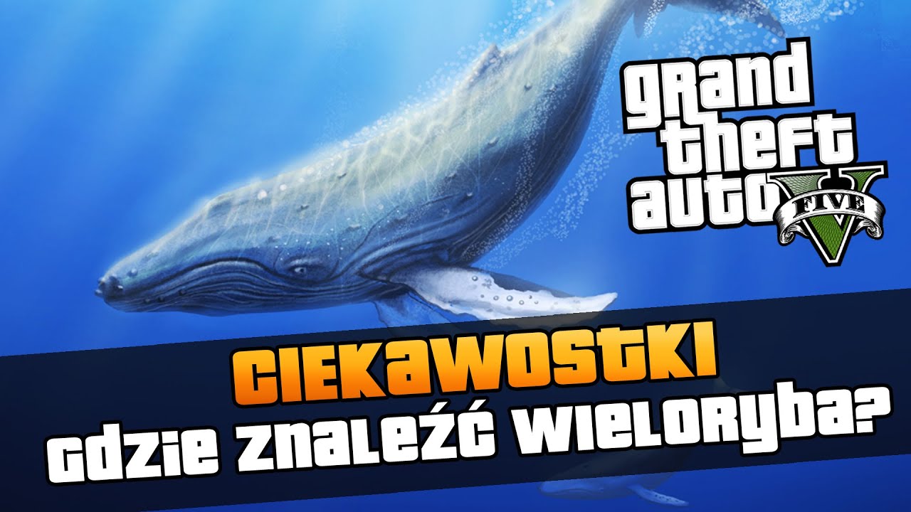 GTA V | Wieloryb w GTA - gdzie go znaleźć? | Ciekawostki z GTA V [#103]