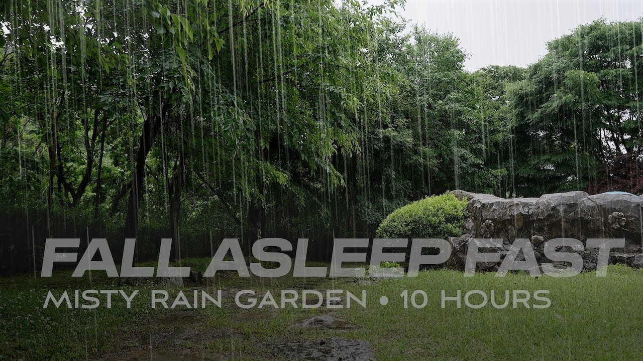 Cool Rain Sounds in a Cozy Rain Shelter [10 HOURS] | Misty Birch Forest, PeacefulSleep