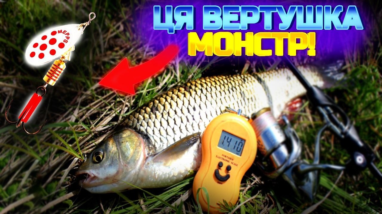 ВЕРТУШКИ на БІЛОГО - Хижака, досвід, моє бачення, поради, + КОНКУРС