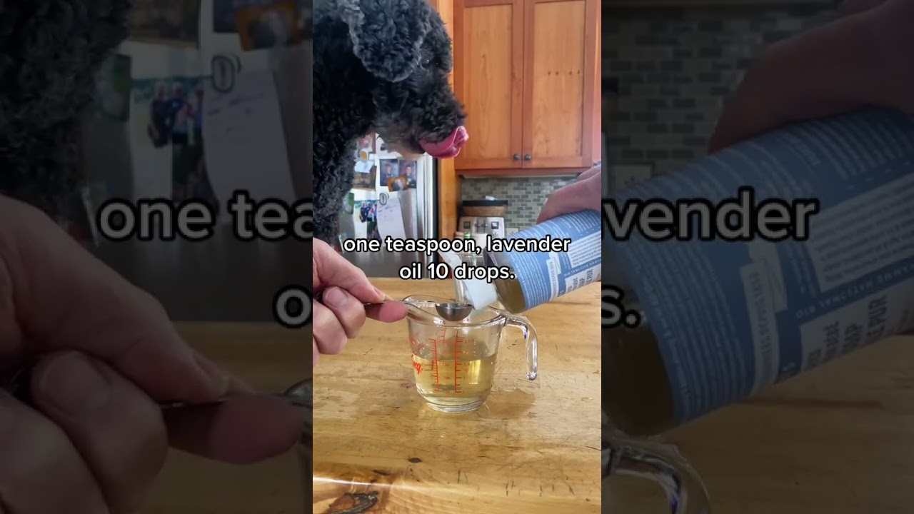 DIY All Natural Doggy Deodorizer